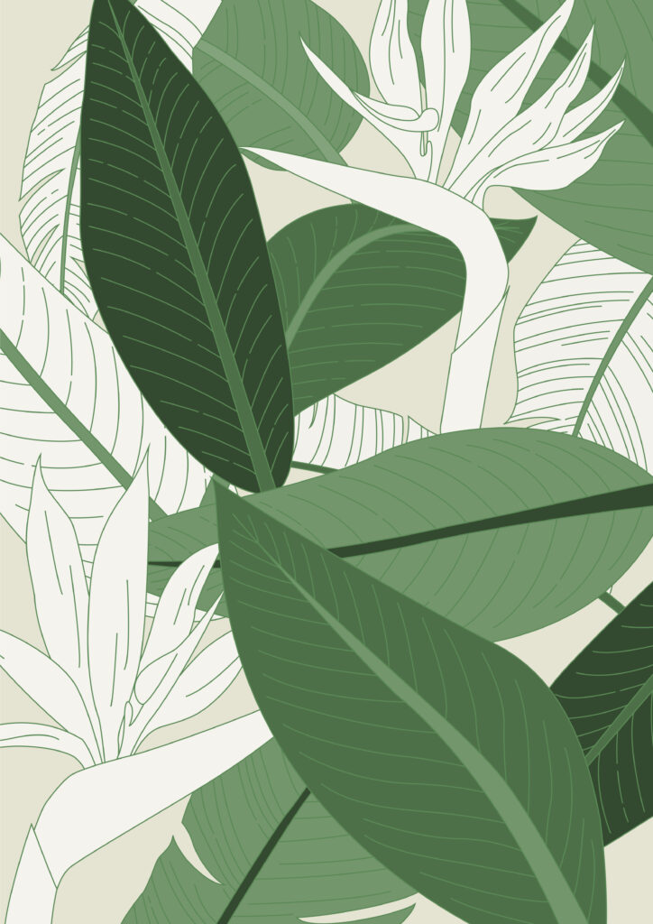 Urban Jungle kolekcija: Unesite svežinu prirode u Vaš dom